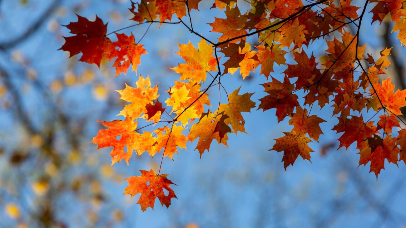 Mykonos in the Fall